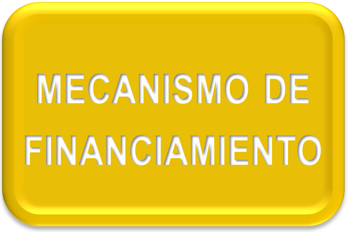 MECANISMO%20DE%20FINANCIAMIENTO.png